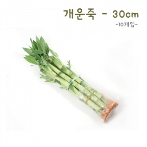 식물탐구 수경재배 개운죽 30cm(10개)(반품불가)