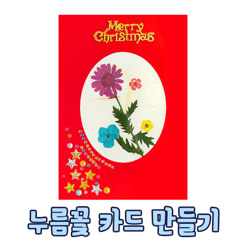 [오렌지몰] 크리스마스카드 누름꽃 카드만들기 05