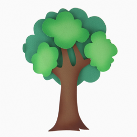 [대원P&amp;P] 삼잎나무 2 종(사양선택)