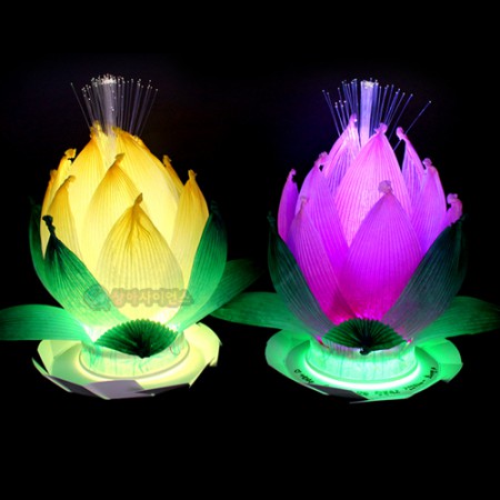[STEAM과학] 물에 띄우는 LED소원꽃 만들기(5인 세트)