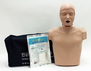 한국형심폐소생술모형 써니-단순형