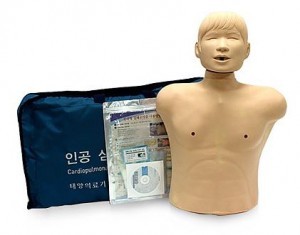 한국형심폐소생술모형 - B형