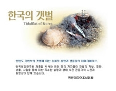 [영상교육] 한국의갯벌(초중고용WEB)