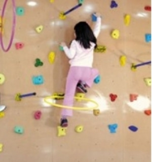 유아동체육교구 Gym 암벽 오르기 보드 암벽타기 클라이밍