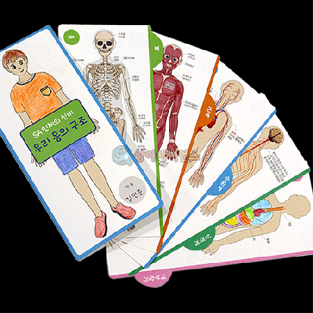 인체의 신비-SA 우리몸의 구조(1인용 포장)