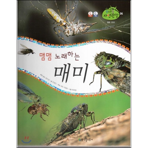 꿈틀꿈틀 자연관찰 06 맴맴 노래하는 매미 (곤충류)