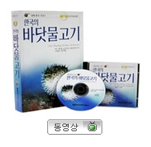 [영상교육] 한국의바닷물고기(초중고용WEB)