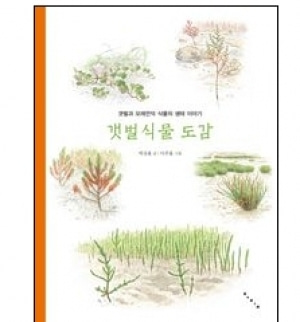 [도서] 갯벌식물도감[보림]