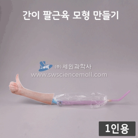 (1인용) 간이 팔근육 모형 만들기_98860