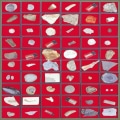 [교육과학] 연구용화석표본(60종)_04849