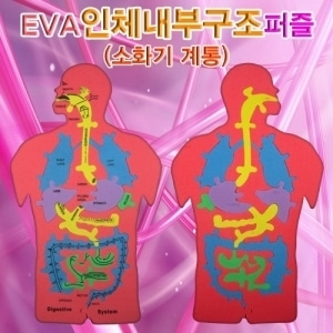 [교육과학] EVA 인체내부구조(소화기계통)퍼즐_L9753