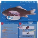 [STEAM과학] 물고기 해부 관찰세트 만들기(5인용)_02310