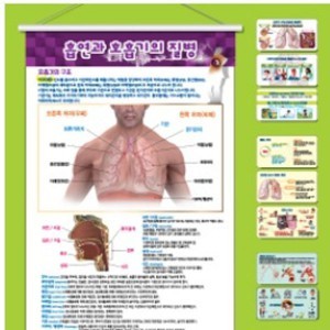 보건교구 흡연과 호흡기의 질병 COPD,폐암,천식(족자형) kim3-459