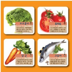 보건교구 금연 &amp; 폐에 좋은 식품 자석 27종 (kim3-228)