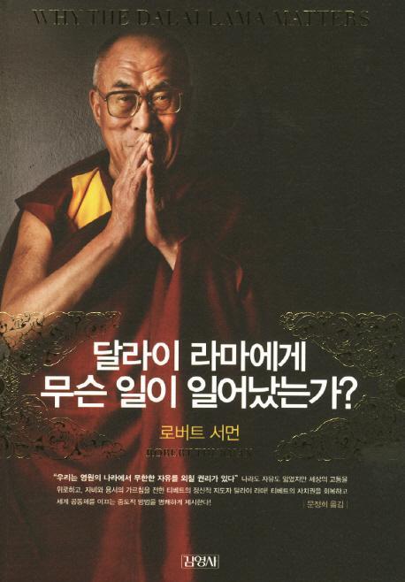 [도서] 달라이 라마에게 무슨 일이 일어났는가