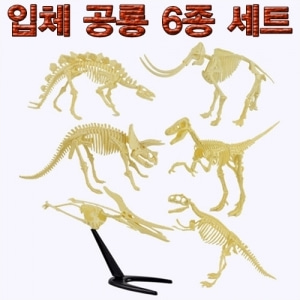 (STEAM) 입체 공룡 6종 세트
