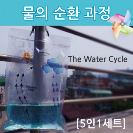 물의 순환 과정(5인 세트)