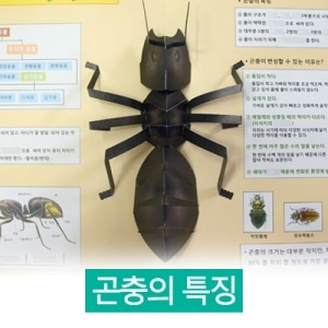 [펀북에듀] 이미경의 팝업 과학 곤충의특징 곤충 친구들