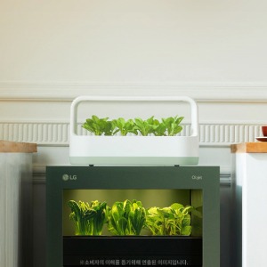 LG 틔운 미니 식물재배기 L012M1