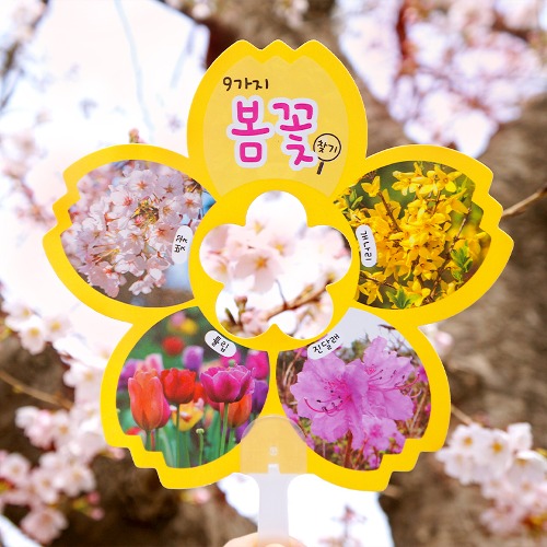[도토리클래스] 봄꽃 관찰 부채